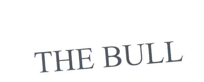 THE BULL