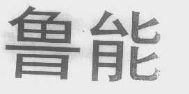 鲁能