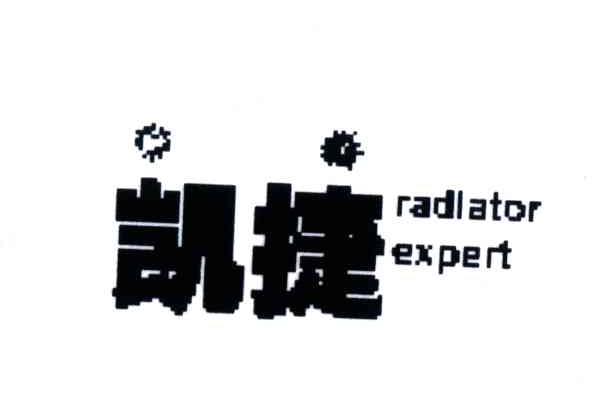 凯捷;RADLATOR EXPERT