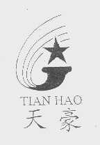 天豪