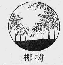 椰树