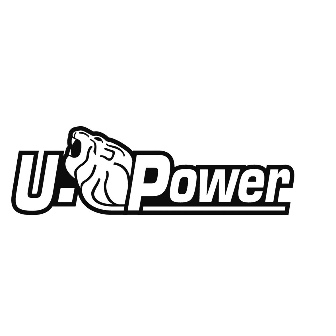 U. POWER