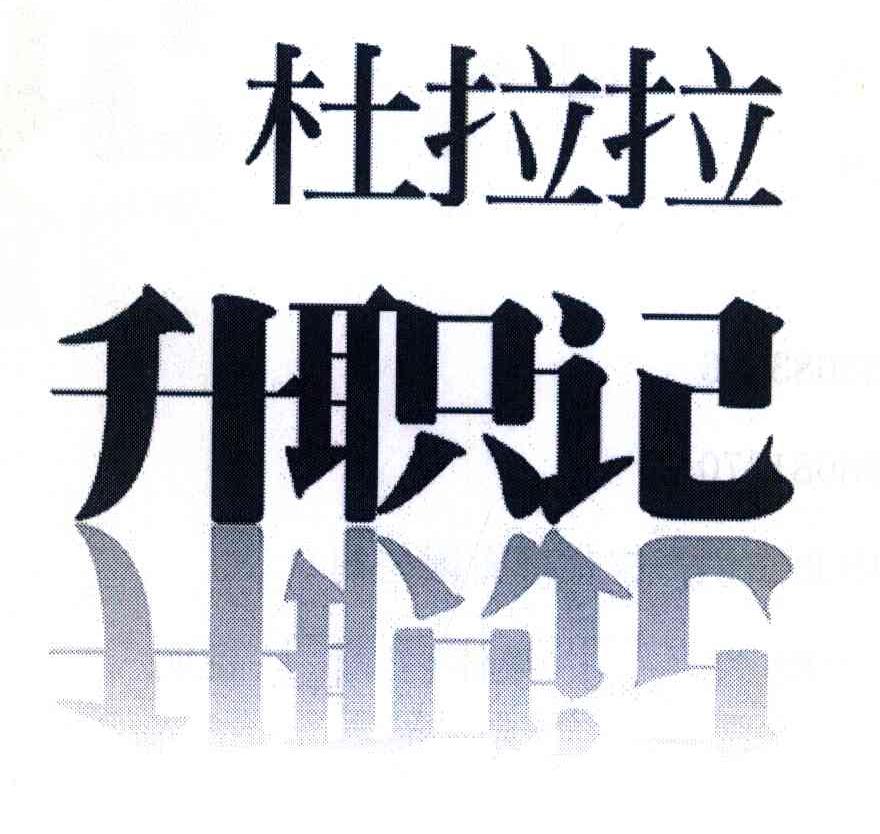 杜拉拉 升职记