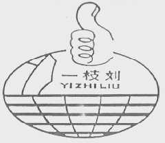 一枝刘