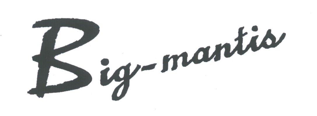 BIG-MANTIS