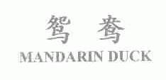 鸳鸯;MANDARIN DUCK