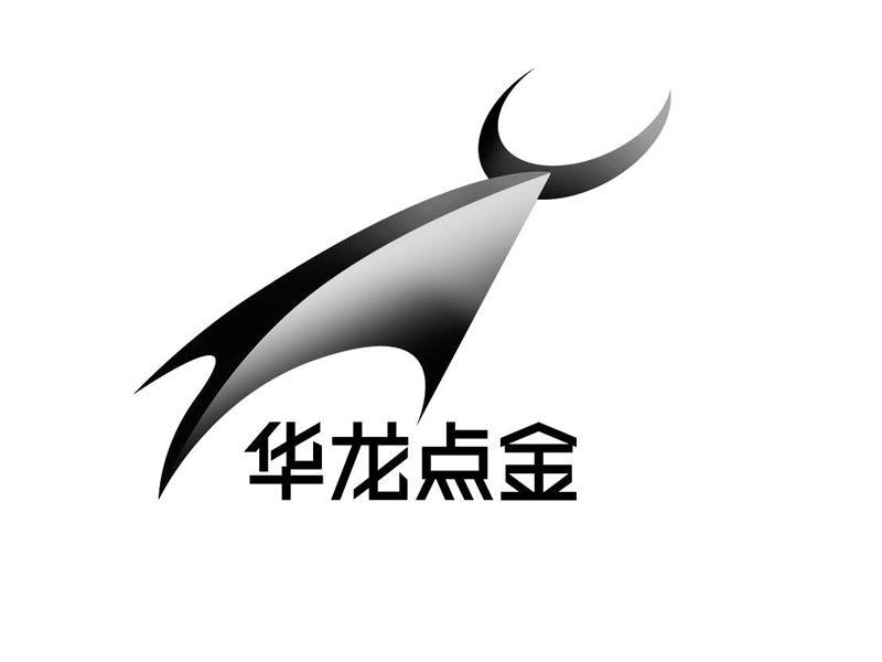华龙点金
