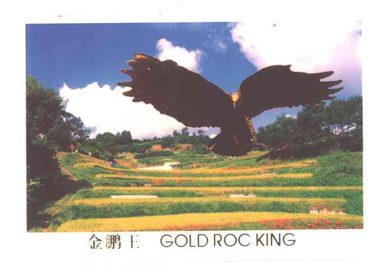 金鹏王;GOLD ROC KING