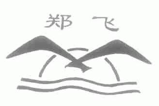 郑飞
