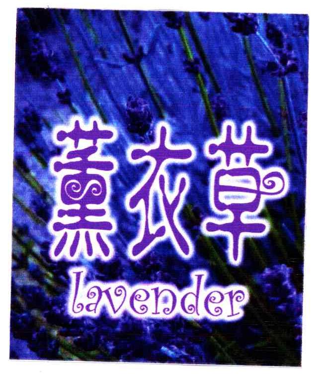 薰衣草;LAVENDER