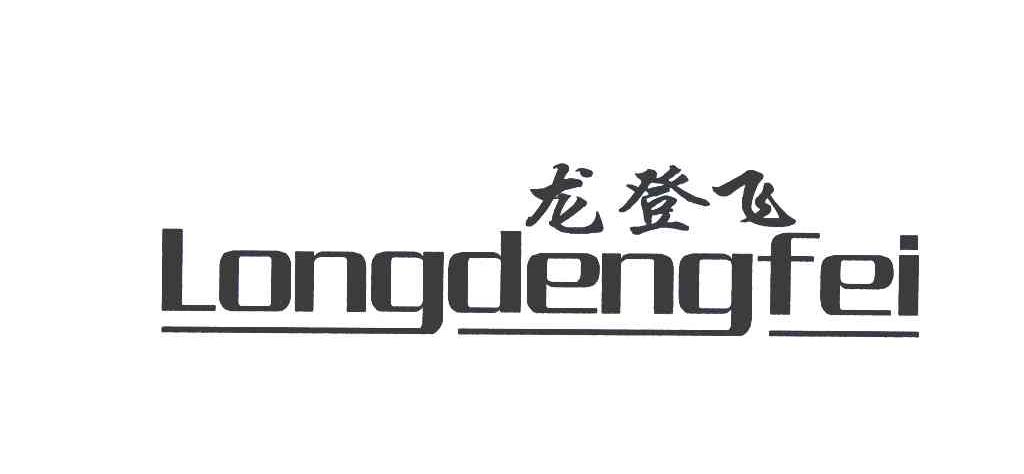 龙登飞