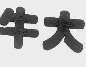 牛大