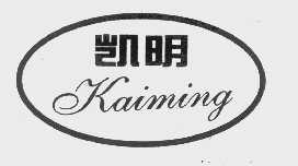 凯明