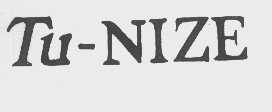 TU-NIZE