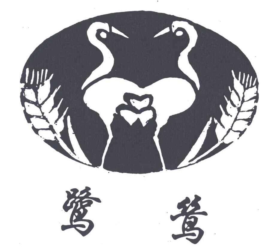 鹭鸶