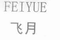 飞月