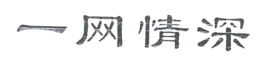 一网情深