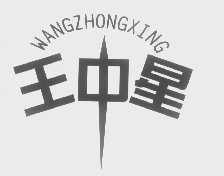 王中星