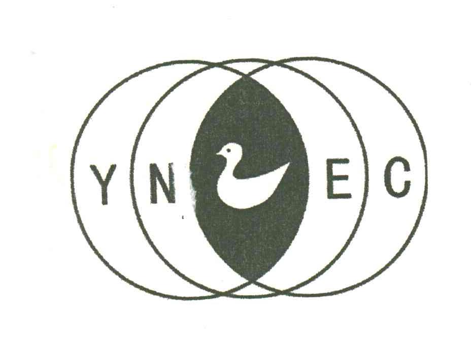 YNEC