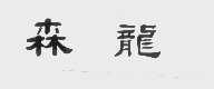 森龙
