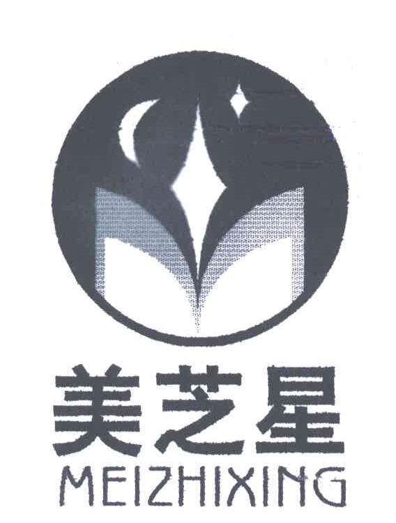 美芝星;MEI ZHI XING