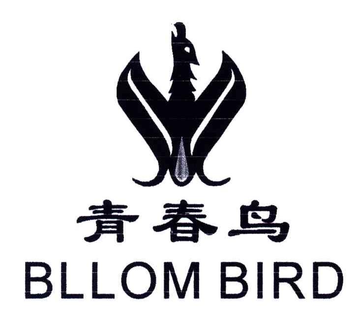 青春鸟;BLLOM BIRD