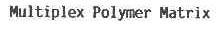 MULTIPLEX POLYMER MATRIX