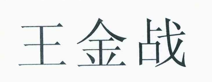 王金战