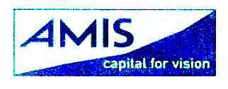 AMIS CAPITAL FOR VISION