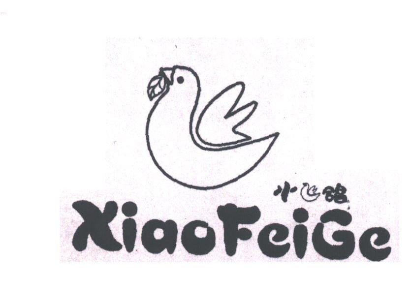 小飞鸽