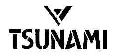 TSUNAMI