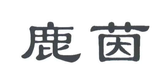 鹿茵