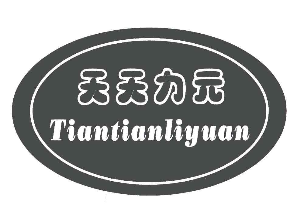 天天力元