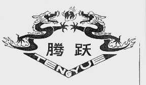 腾跃