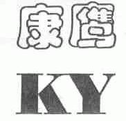 康鹰