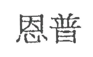 恩普