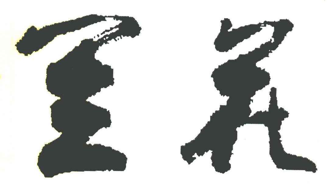 兰花