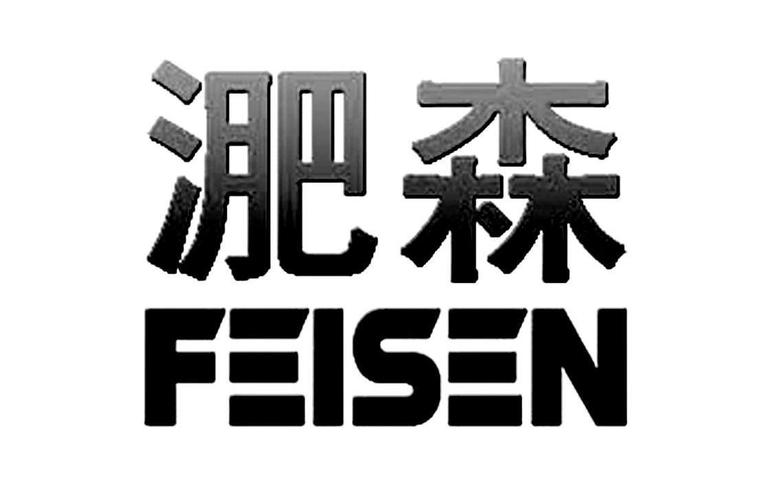 淝森