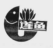 莲鱼
