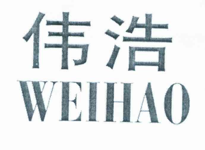 伟浩