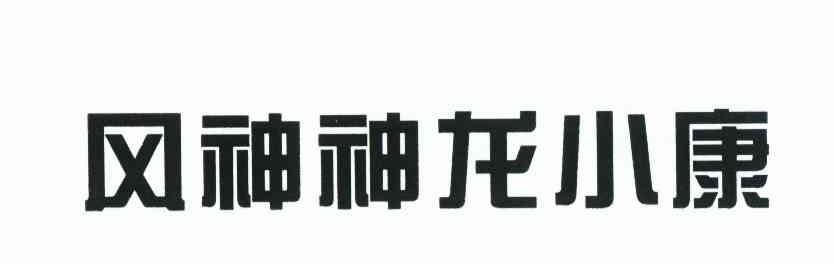 风神神龙小康