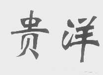 贵洋