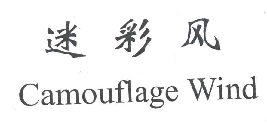 迷彩风;CAMOUFLAGE WIND