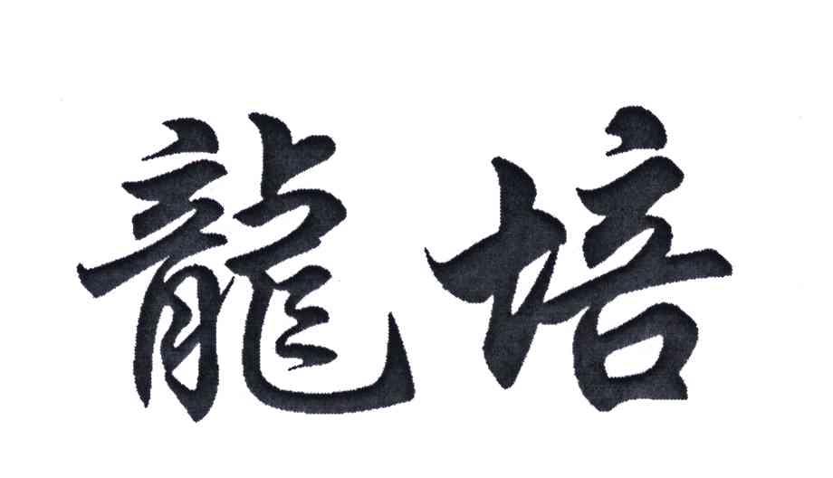 龙培