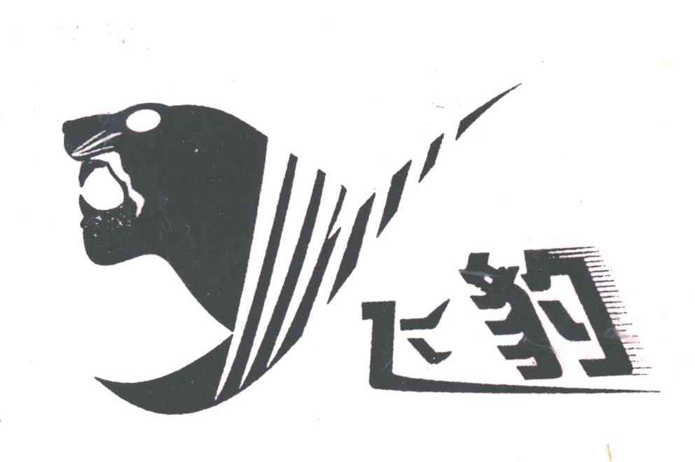 飞豹