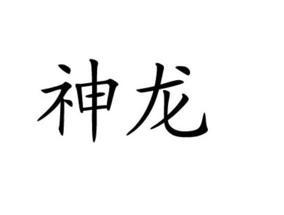 神龙