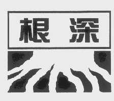 根深