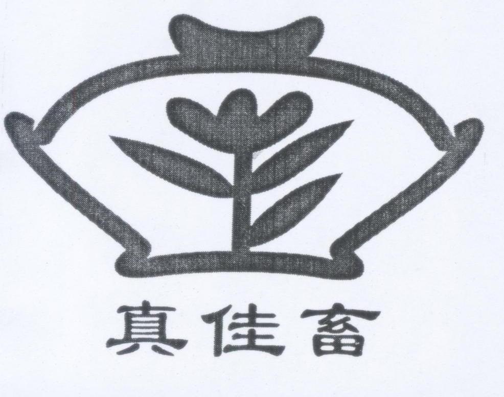 真佳畜
