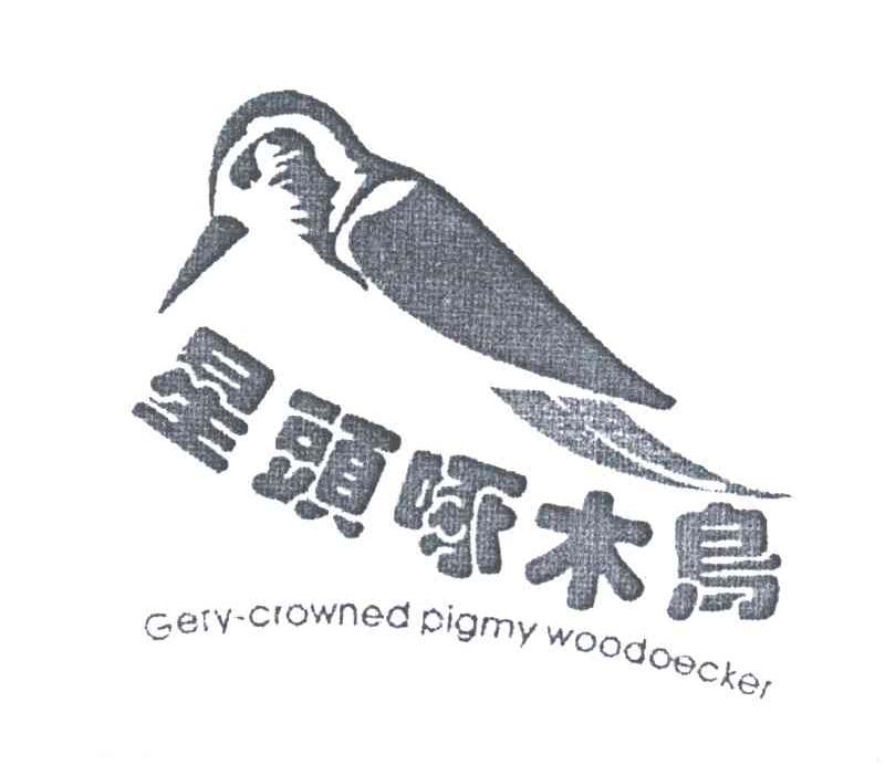 星头啄木鸟;GERV CROWNED PIGMY WOODOECKER