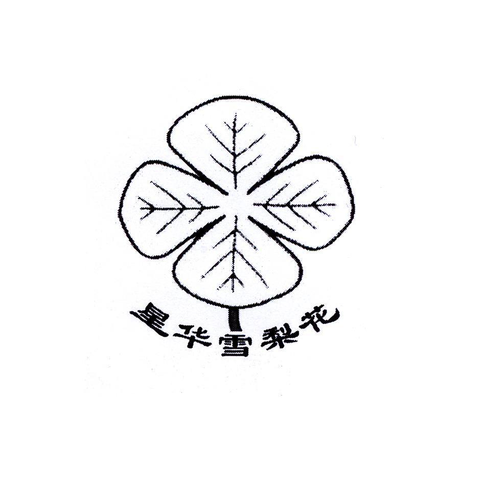 星华雪梨花